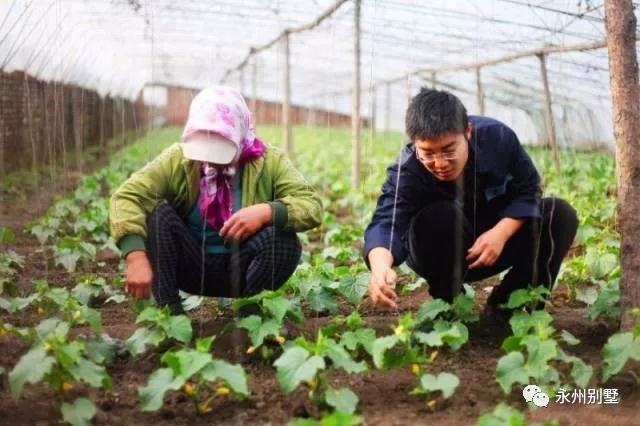 永州自建房别墅图纸、别墅设计、别墅包工包料——永州荣耀别墅公司湖南别墅专家0746-8223678冷水滩区愿景国际公寓B栋6楼